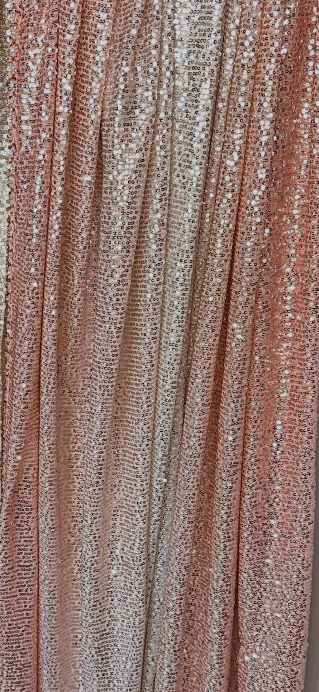 SS2013