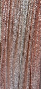 SS2013